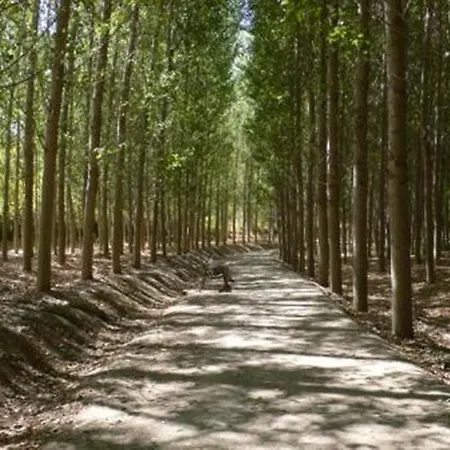 Balneario De Ventas de Zafarraya