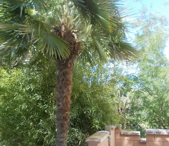 Balneario De Hotel Alhama de Granada